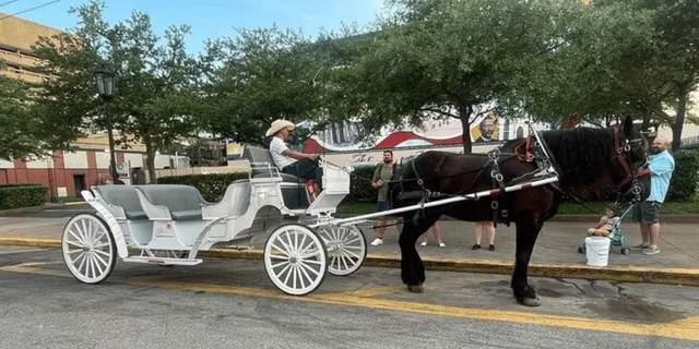 Galveston Historic Carriage Tour - Image 2