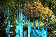 Dallas Arboretum and Botanical Gardens Tour thumbnail 1