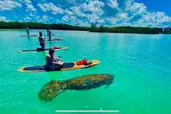 Naples Guided Paddleboard or Kayak Tour thumbnail 1