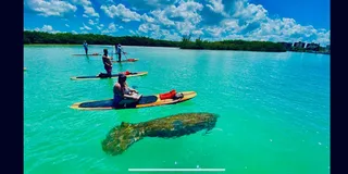 Naples Guided Paddleboard or Kayak Tour