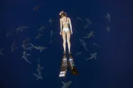 Haleiwa Shark Dive Experience thumbnail 1