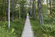 Acadia Private Tour with Local Guide 3 hr thumbnail 4