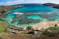 Oahu Circle Island Tour thumbnail 3