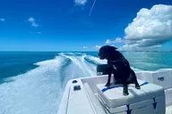 Key West Reef Snorkeling Adventure thumbnail 1