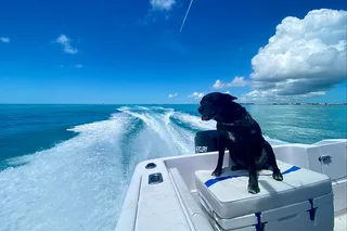 Key West Reef Snorkeling Adventure