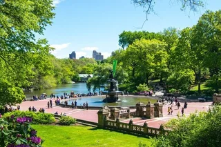 New York City Electric Scooter Tour in Central Park