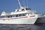 Orlando Clearwater Beach Dolphin Cruise Day Trip thumbnail 2