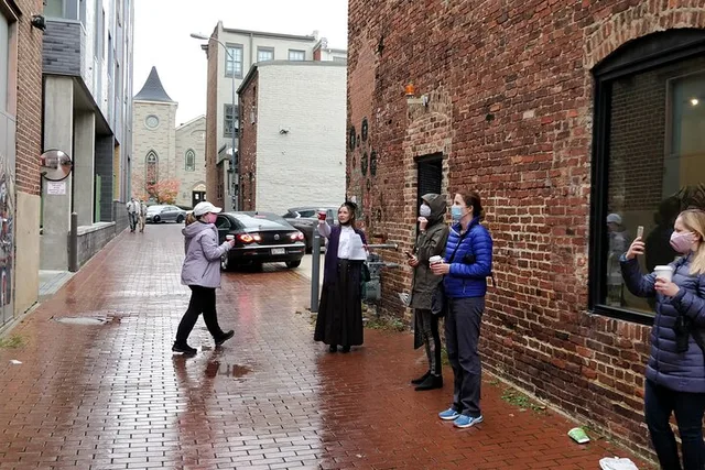 Washington DC Historic Alleyways Walking Tour - Image 3