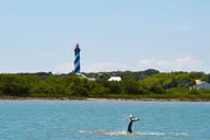 St. Augustine Dolphin Watching Harbor Tour thumbnail 2