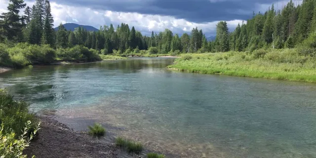 Glacier National Park Nature Walk - Image 6