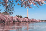 Washington DC Private Car Tour thumbnail 3
