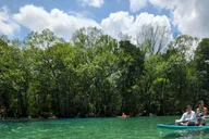 Panama City Beach Cypress Springs Kayak & Paddle Tour thumbnail 1