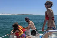 Panama City Beach Dolphin Tour Guided by Marine Biologist 2 hr thumbnail 4