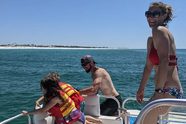 Panama City Beach Dolphin Tour Guided by Marine Biologist 2 hr - Image 4