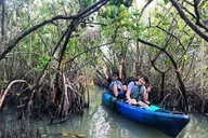 Cocoa Beach Mangrove Tunnel Kayak Tour thumbnail 1