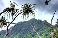 Kaneohe E-Bike Tour at Kualoa Ranch 2 hr thumbnail 5