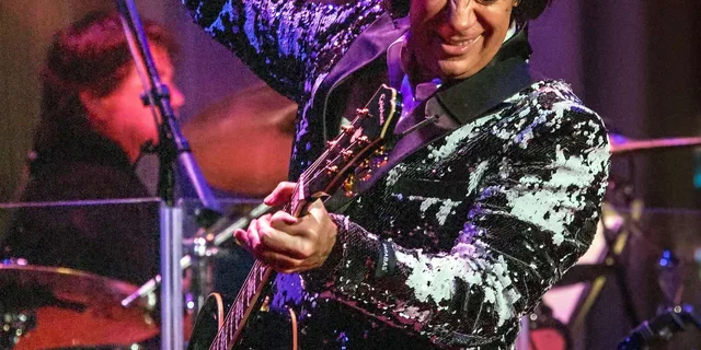Las Vegas Neil Diamond Tribute Show - Image 3