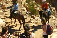 Grand Canyon Hike from Sedona or Flagstaff thumbnail 2
