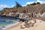 Maui Black Sand Beach and Waterfalls Tour thumbnail 1