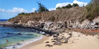 Maui Black Sand Beach and Waterfalls Tour