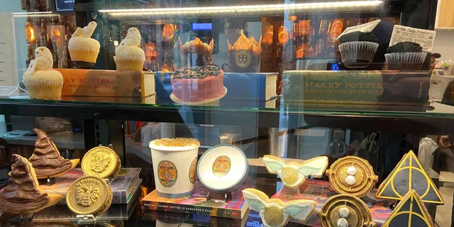 Chicago Harry Potter Shop Tour 1 hr - Image 2