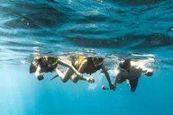 Waianae Dolphin Swim and Snorkeling Safari thumbnail 5