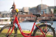 Hilton Head Island Bike Rentals thumbnail 5