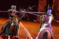 Las Vegas Tournament of Kings Dinner Show thumbnail 2