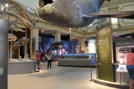 Washington DC History and Natural History Museum Tour 3 hr thumbnail 2