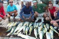 Fort Lauderdale Deep Sea Drift Fishing Trip 4 hr thumbnail 3