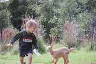 Big Island Baby Goat Experience thumbnail 4