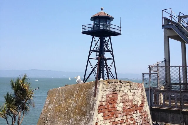 San Francisco Alcatraz Tour with Bay Cruise - Image 5