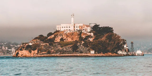 San Francisco Alcatraz Tour, Muir Woods & Wine Tasting - Image 5