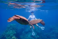 Maui Kayak and Snorkel Tour (3 hr) thumbnail 6