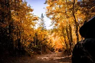 Colorado Scenic Jeep Tour thumbnail 5