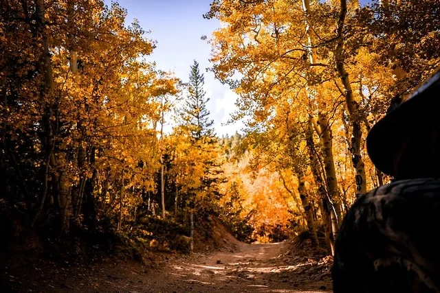 Colorado Scenic Jeep Tour - Image 5