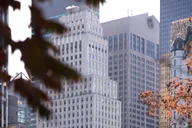 New York Central Park Walking Tour thumbnail 5