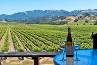 Sonoma Valley Wine Tour thumbnail 1