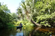 Orlando Wekiva River Kayak Tour thumbnail 4