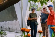 Los Angeles Arts Tour with MOCA & The Broad 2 hr thumbnail 4