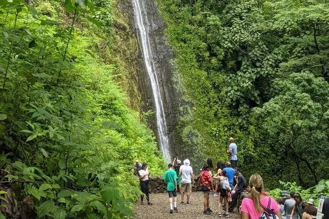 Honolulu Electric Bike Ride and Manoa Falls Hike - Image 1