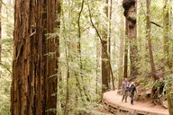 San Francisco Alcatraz Night Tour and Muir Woods thumbnail 4
