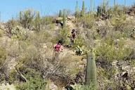 Tucson Mountain Bike Adventure thumbnail 6