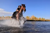 Heart Six Ranch Dinner Cookout Ride thumbnail 2