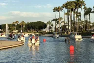 Los Angeles Swan Boat Rental at Echo Park Lake thumbnail 3