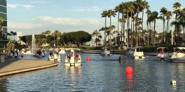 Los Angeles Swan Boat Rental at Echo Park Lake - Image 3
