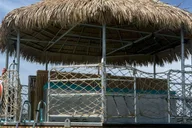 Panama City Beach Tiki Boat Snorkeling Adventure 3 hr thumbnail 5
