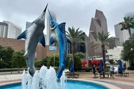 Houston City Tour and Downtown Aquarium Pass thumbnail 2