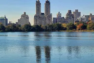 New York City E-Bike Rental for Central Park thumbnail 3