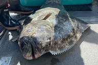 Hoonah Whale Watching and Fishing Tour thumbnail 2